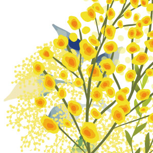 黄色の小花 ミモザの花束